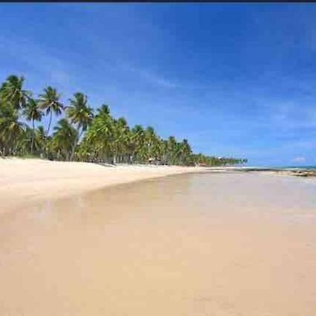Flat Beira Mar - Carneiros Beach Resort Tamandaré Eksteriør billede