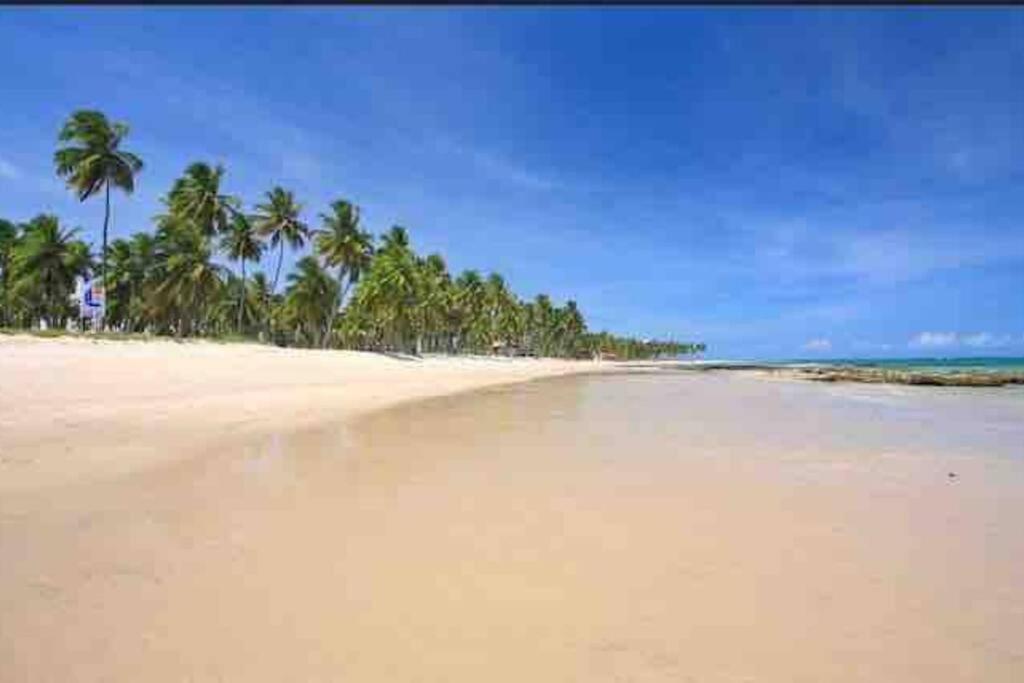 Flat Beira Mar - Carneiros Beach Resort Tamandaré Eksteriør billede